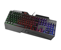 NATEC Fury Skyraider RGB NFU-1697 - 1384140 - zdjęcie 1